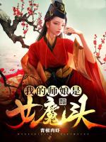 小说《/data/image/13476.jpg》封面
