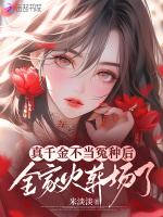 小说《/data/image/13738.jpg》封面