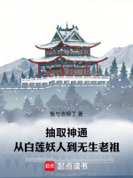 小说《/data/image/13858.jpg》封面