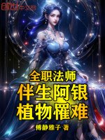 小说《/data/image/13861.jpg》封面