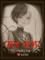 小说《/data/image/13987.jpg》封面