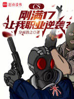 小说《/data/image/15528.jpg》封面