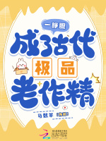 小说《/data/image/16002.jpg》封面
