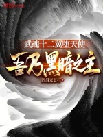 小说《/data/image/16025.jpg》封面