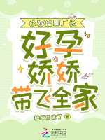 小说《/data/image/16335.jpg》封面
