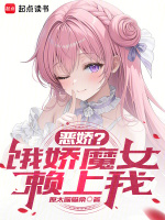 小说《/data/image/16593.jpg》封面