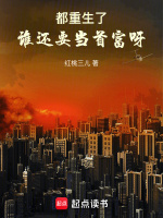 小说《/data/image/1709.jpg》封面