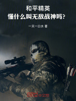 小说《/data/image/17278.jpg》封面