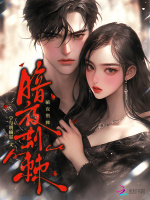 小说《/data/image/17709.jpg》封面