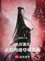 小说《/data/image/17794.jpg》封面