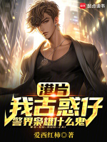 小说《/data/image/17861.jpg》封面