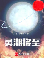 小说《/data/image/18804.jpg》封面