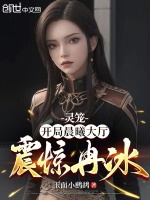 小说《/data/image/19431.jpg》封面