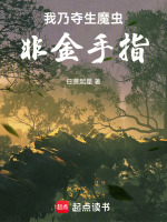 小说《/data/image/19778.jpg》封面