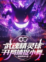 小说《/data/image/19872.jpg》封面