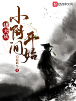 小说《/data/image/2009.jpg》封面