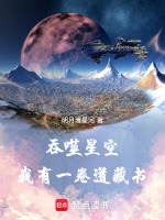小说《/data/image/20744.jpg》封面