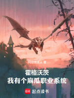 小说《/data/image/2760.jpg》封面