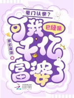 小说《/data/image/3338.jpg》封面
