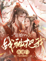 小说《/data/image/3455.jpg》封面