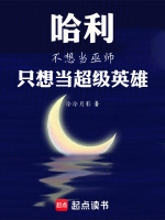 小说《/data/image/4237.jpg》封面