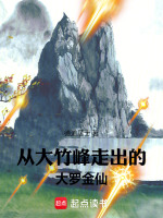 小说《/data/image/4250.jpg》封面