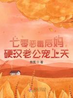 小说《/data/image/4812.jpg》封面