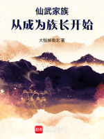 小说《/data/image/529.jpg》封面