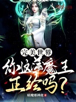 小说《/data/image/6427.jpg》封面