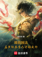 小说《/data/image/7125.jpg》封面
