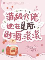 小说《/data/image/7528.jpg》封面