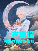 小说《/data/image/785.jpg》封面