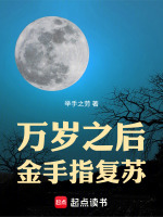 小说《/data/image/801.jpg》封面