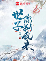 小说《/data/image/8165.jpg》封面