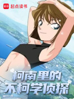 小说《/data/image/8703.jpg》封面