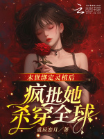小说《/data/image/8808.jpg》封面