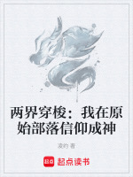 小说《/data/image/9323.jpg》封面