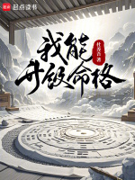 小说《/data/image/9509.jpg》封面