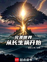 完美世界：从长生祸开始小说封面