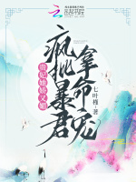 小说《/data/image/10243.jpg》封面