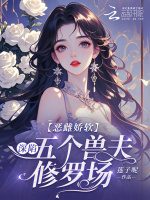 小说《/data/image/10378.jpg》封面