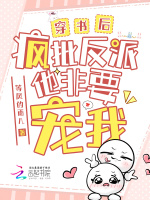 小说《/data/image/1324.jpg》封面
