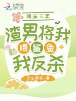 小说《/data/image/13314.jpg》封面