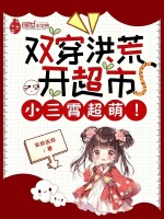 小说《/data/image/13955.jpg》封面