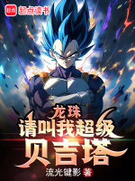 小说《/data/image/14866.jpg》封面