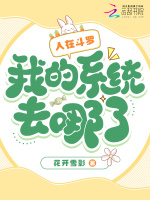 小说《/data/image/1563.jpg》封面