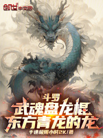 小说《/data/image/15906.jpg》封面