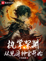 小说《/data/image/1617.jpg》封面