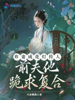 小说《/data/image/17212.jpg》封面
