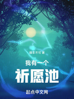 小说《/data/image/17402.jpg》封面